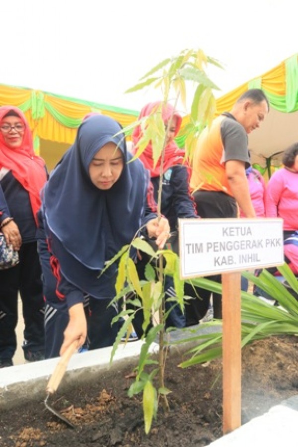 Ketua TP PKK Inhil Buka Gerakan Perempuan Tanan dan Pelihara Pohon Tahun 2018