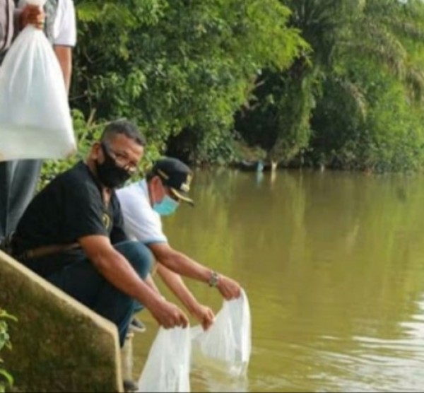 Bupati Kuansing Tebar Delapan Ribu Ekor Benih Ikan  di Desa Pangkal Indrarung
