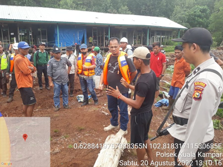 Kejadian Tragis Kembali Terjadi, Harimau Sumatra Kembali Menerkam Manusia