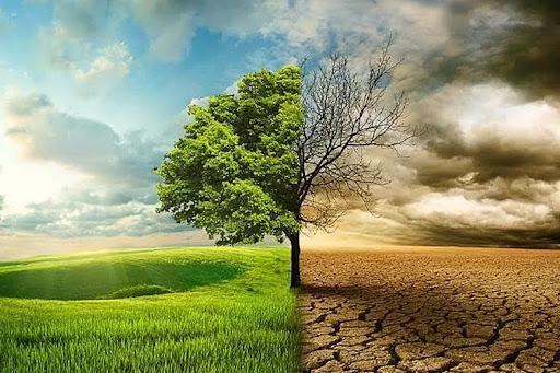 Tantangan dan Solusi Perlindungan Lingkungan Hidup di Era Modern