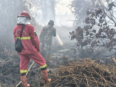 Kodam XIX Tuanku Tambusai Perkuat Penanganan Karhutla, 14 Hektare Lahan di Kampar Terbakar